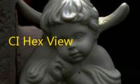 CI Hex Viewer(二进制数据编辑器) 2.0 官方版